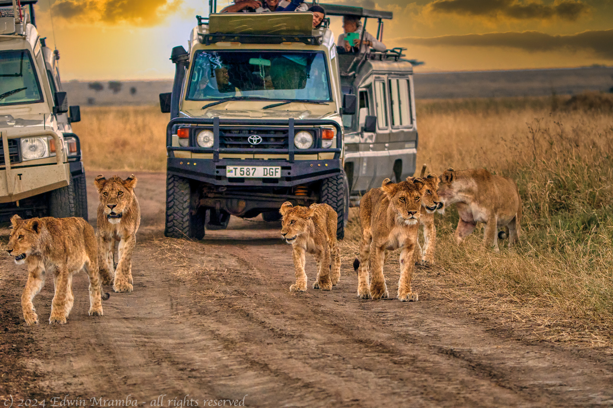 Unforgettable Adventure in Tanzania